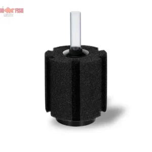 Filter and Oxygen Support